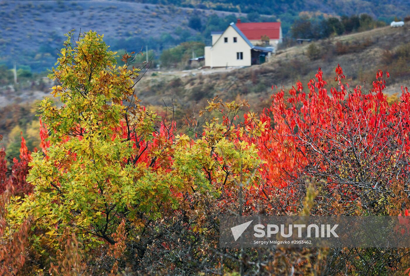 Fall in Crimea