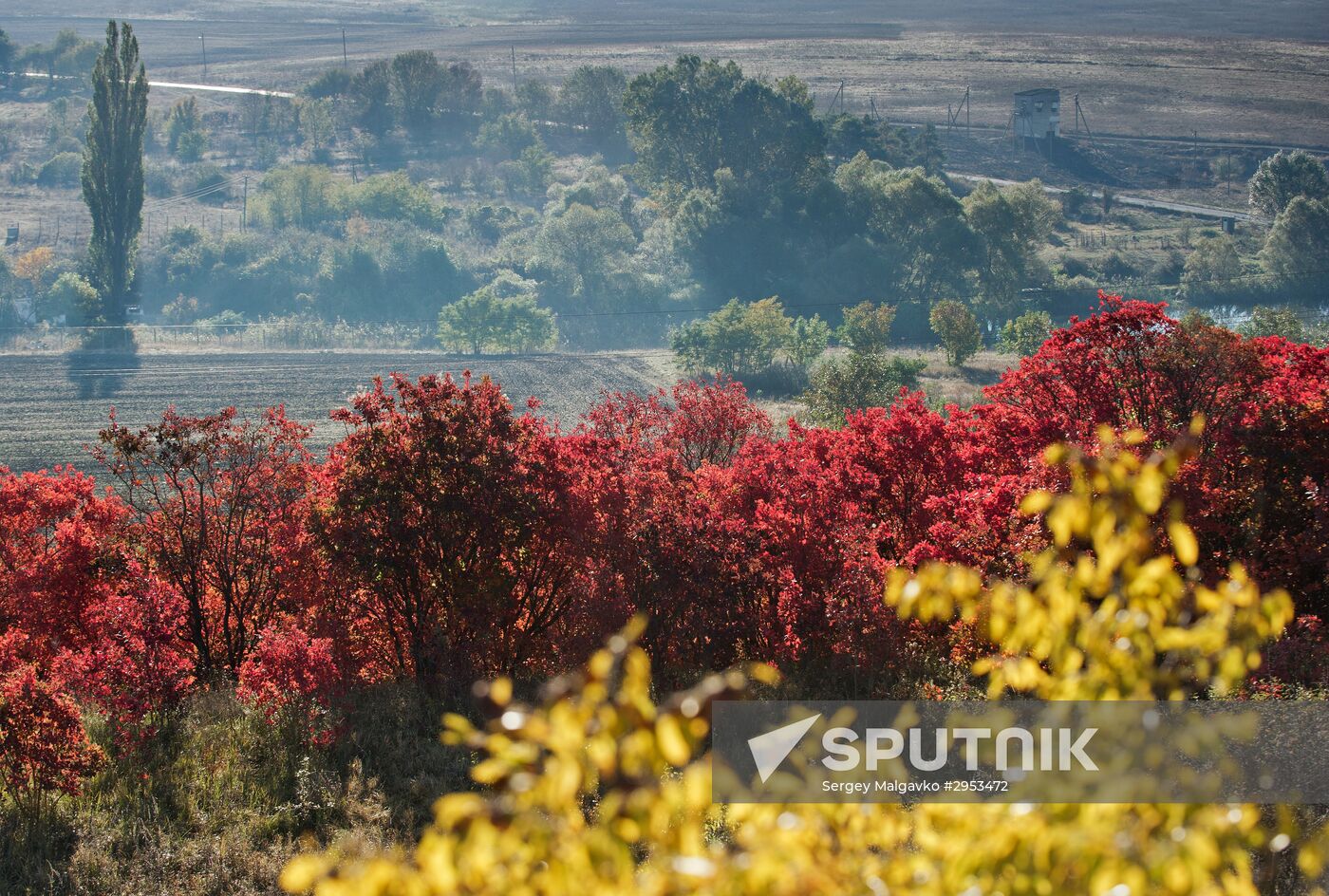 Fall in Crimea