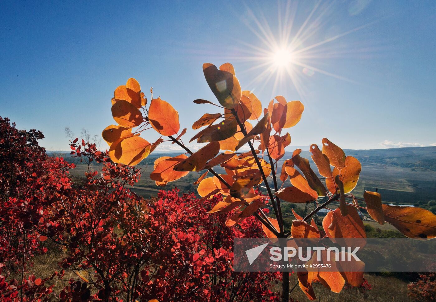 Fall in Crimea