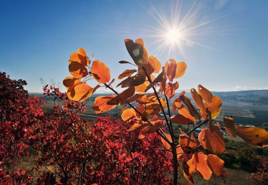 Fall in Crimea