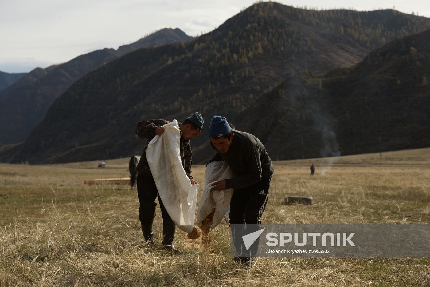 Altai Republic hosts Kok Boru goat-tossing championship
