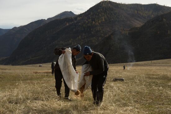 Altai Republic hosts Kok Boru goat-tossing championship
