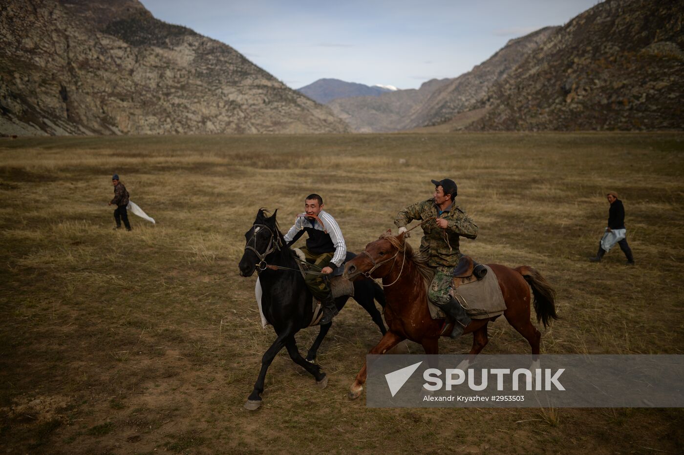 Kok-boru championship in Republic of Altai