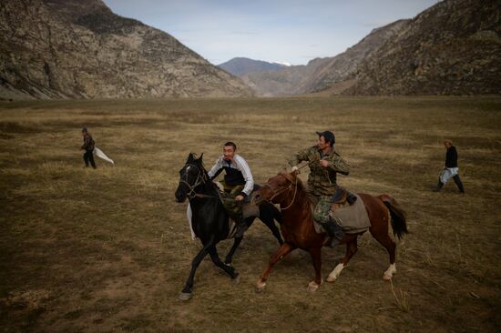 Kok-boru championship in Republic of Altai