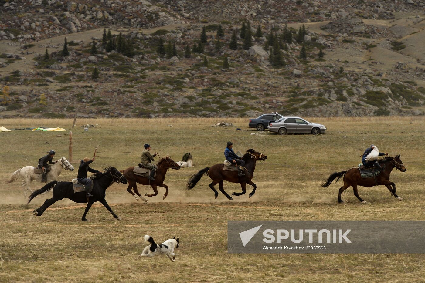 Kok-boru championship in Republic of Altai