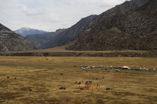 Kok-boru championship in Republic of Altai