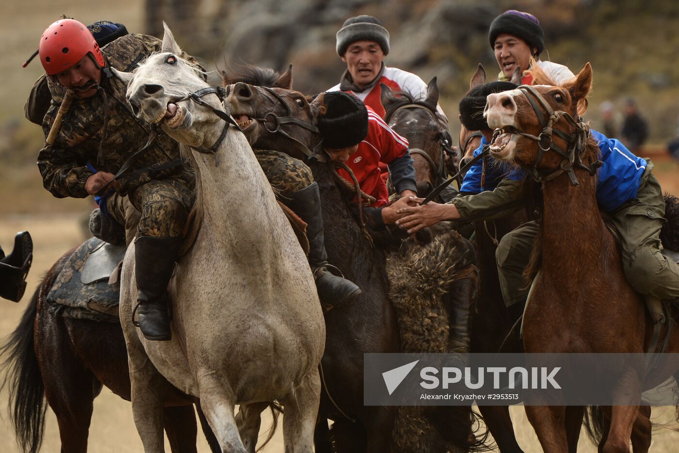 Kok-boru championship in Republic of Altai