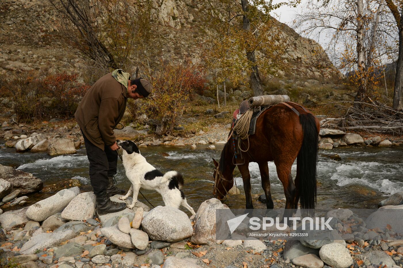 Kok-boru championship in Republic of Altai