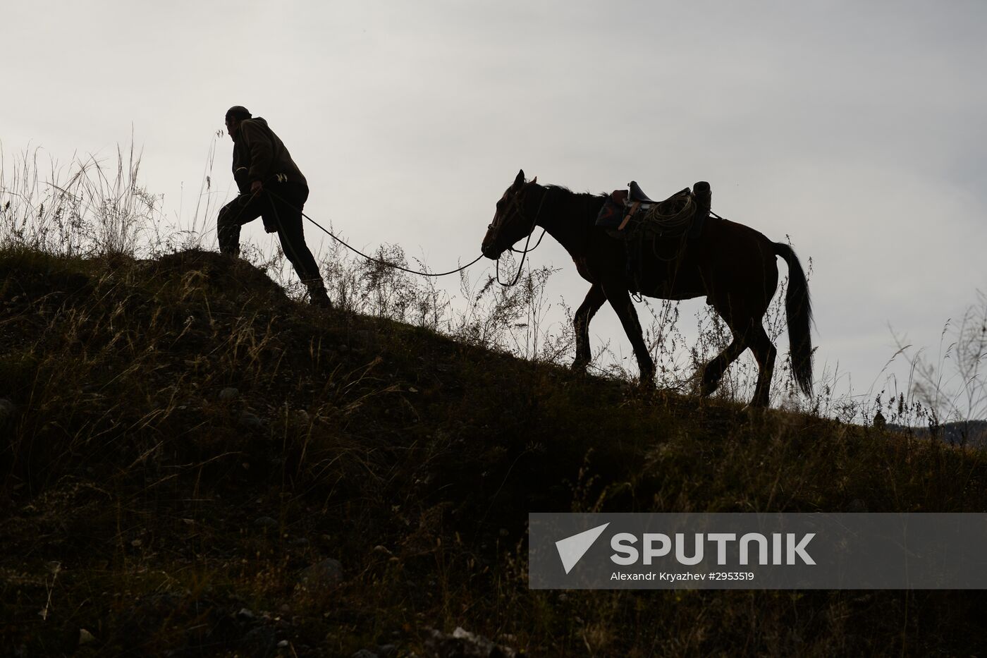 Kok-boru championship in Republic of Altai