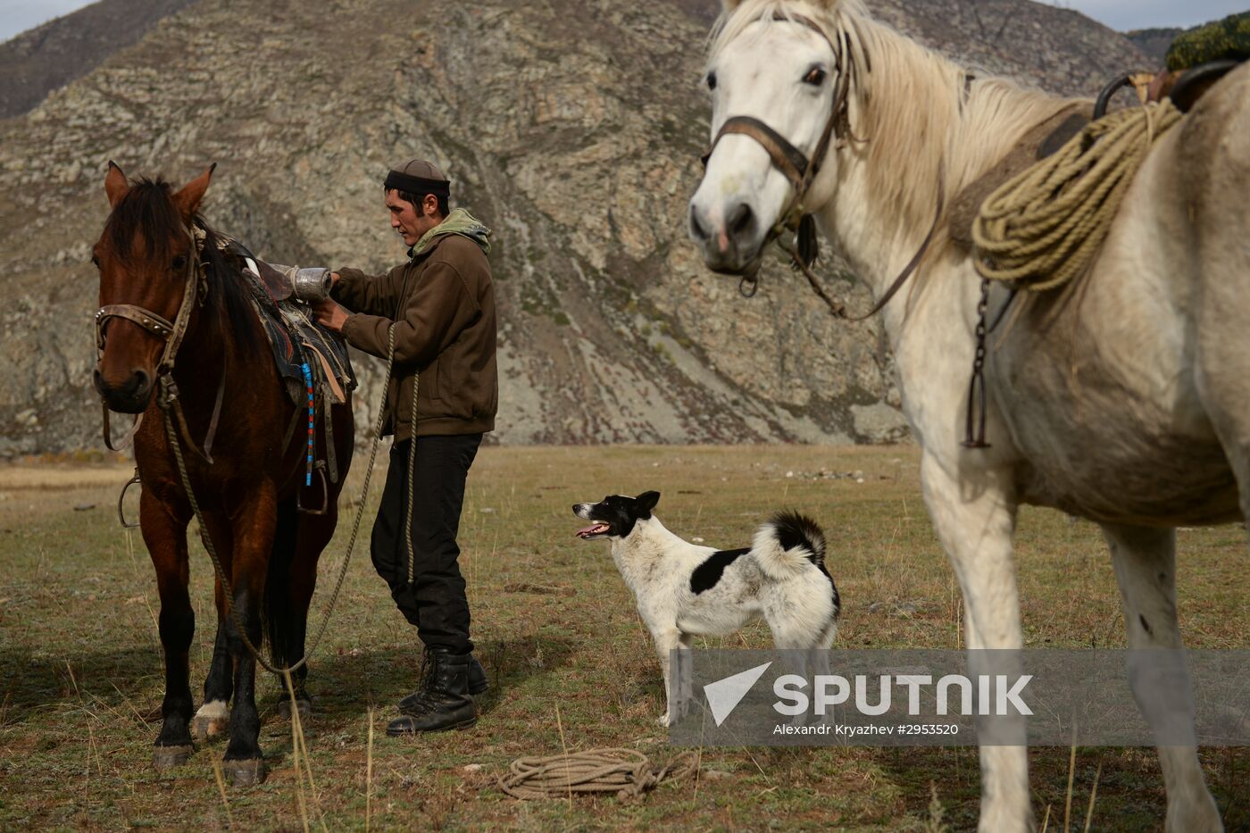Kok-boru championship in Republic of Altai