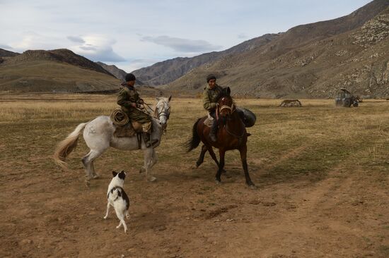 Kok-boru championship in Republic of Altai