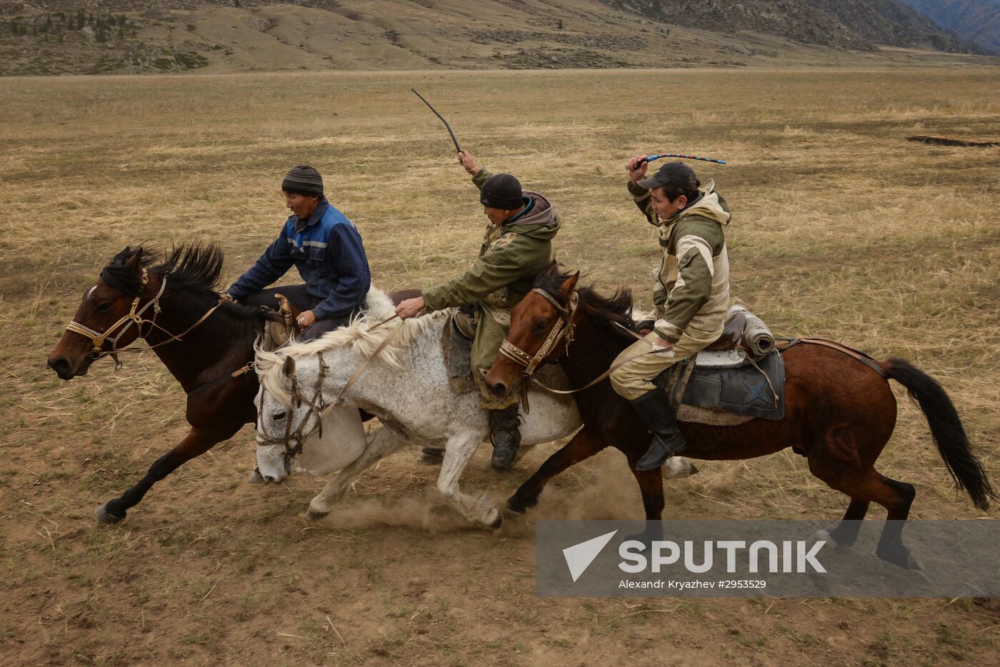 Altai Republic hosts Kok Boru goat-tossing championship