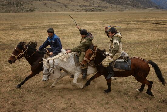 Altai Republic hosts Kok Boru goat-tossing championship