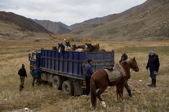 Altai Republic hosts Kok Boru goat-tossing championship
