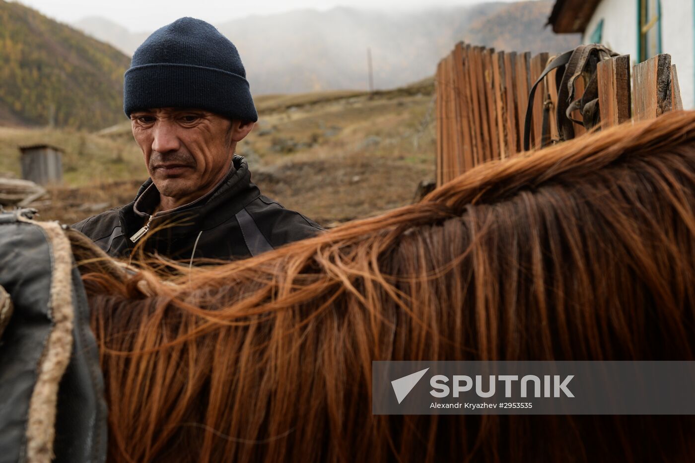 Kok-boru championship in Republic of Altai