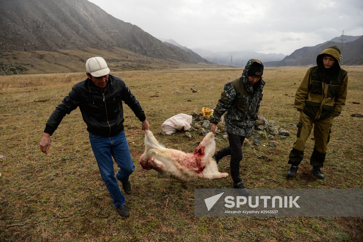Kok-boru championship in Republic of Altai