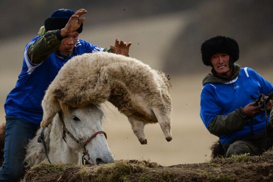 Kok-boru championship in Republic of Altai
