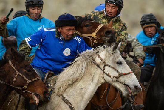 Kok-boru championship in Republic of Altai