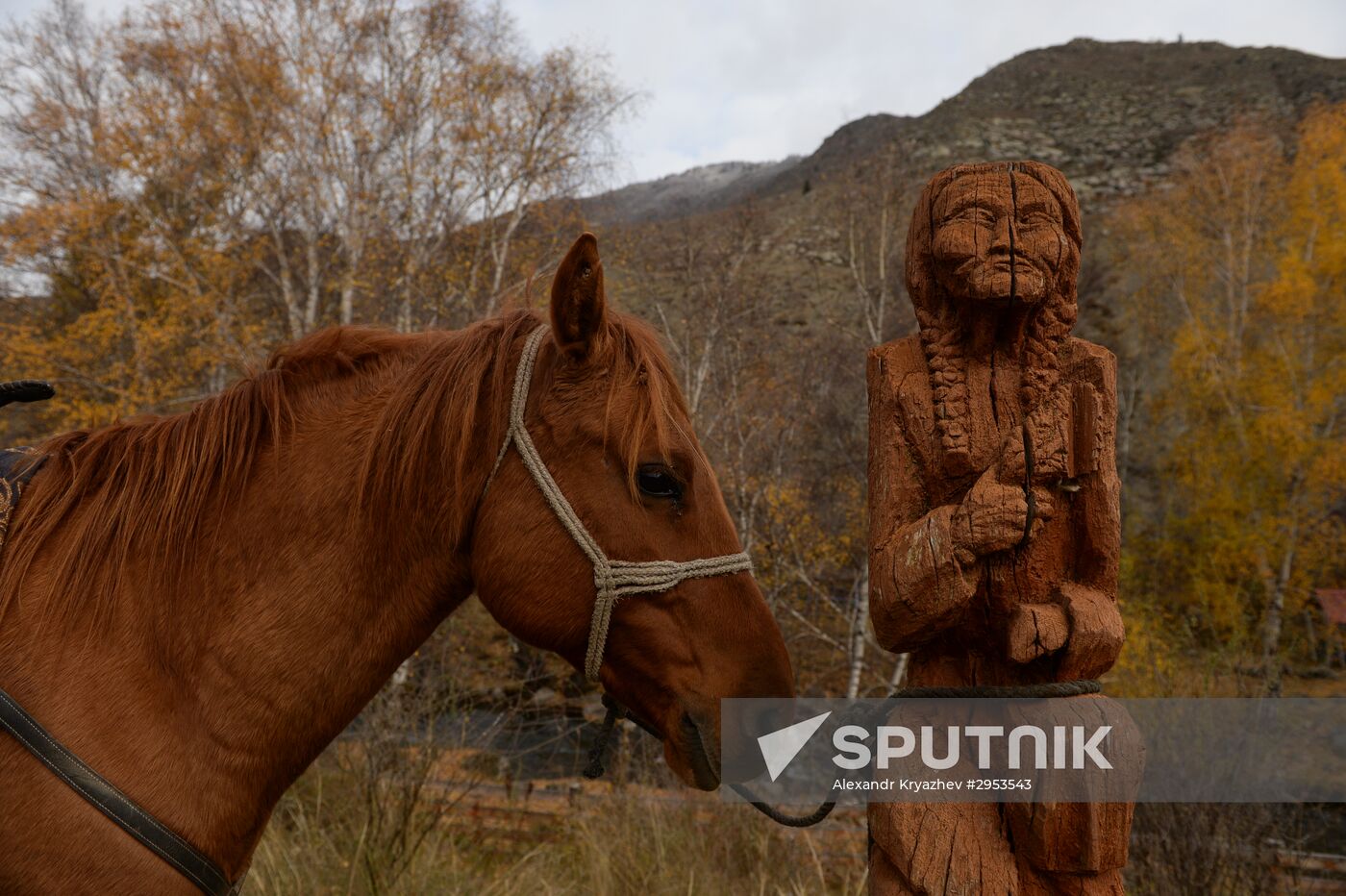 Kok-boru championship in Republic of Altai