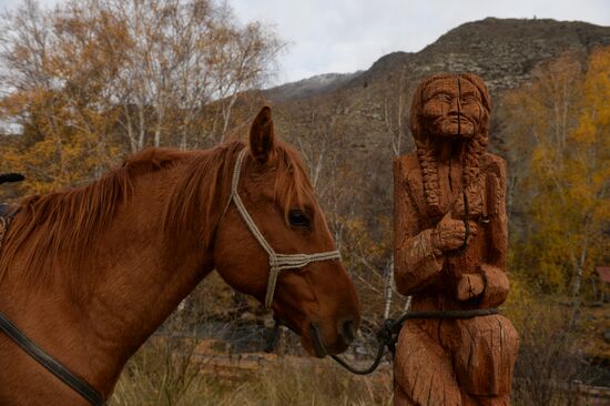 Kok-boru championship in Republic of Altai