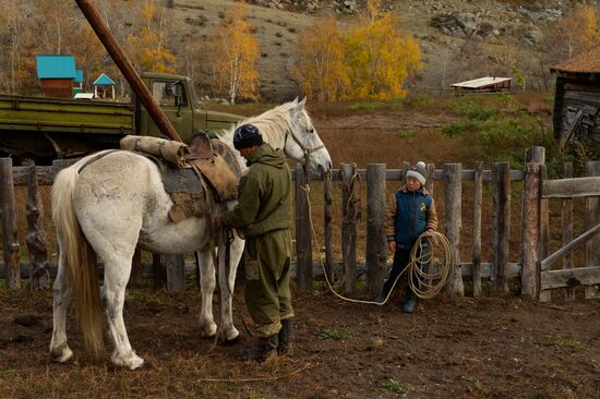 Kok-boru championship in Republic of Altai