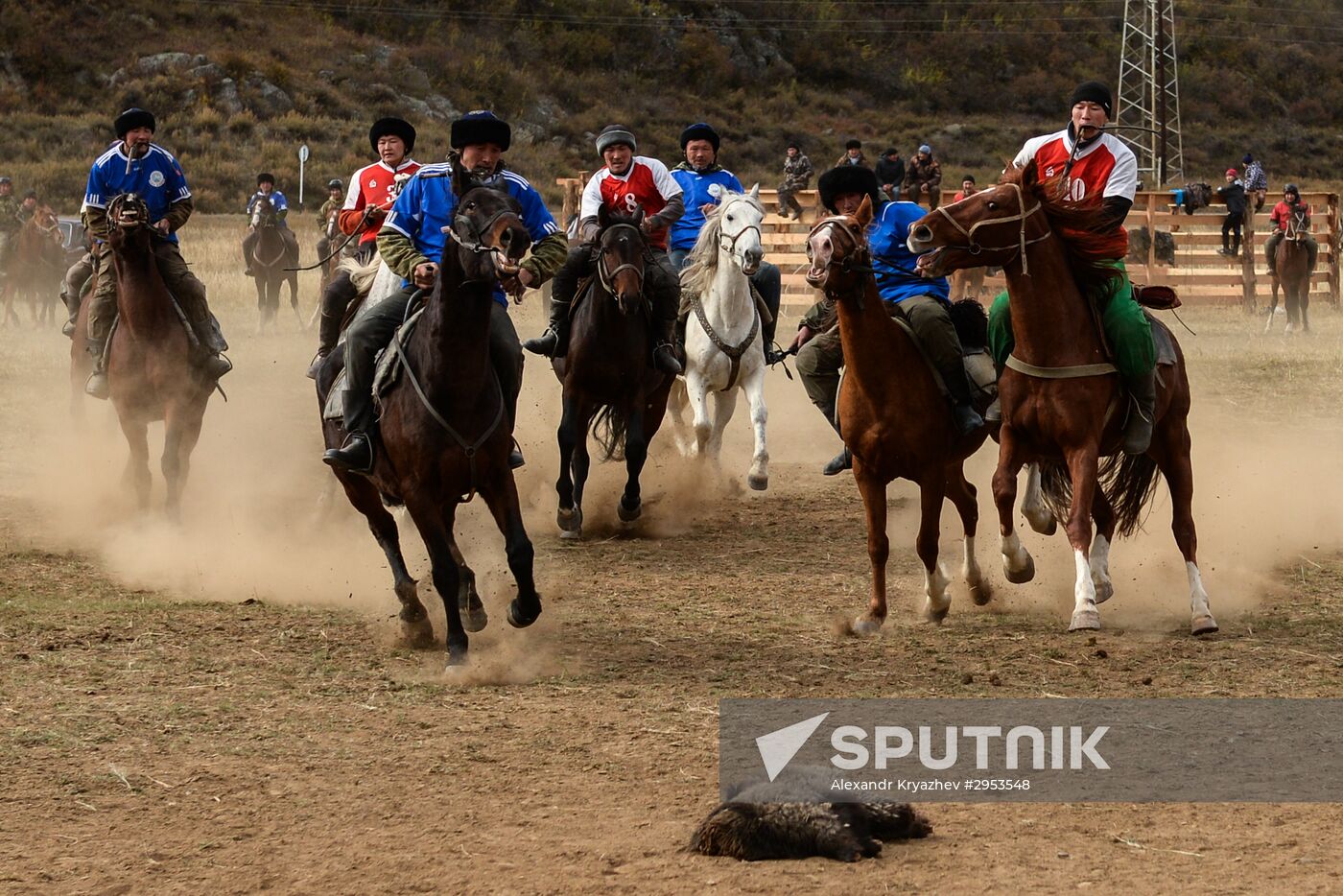 Kok-boru championship in Republic of Altai