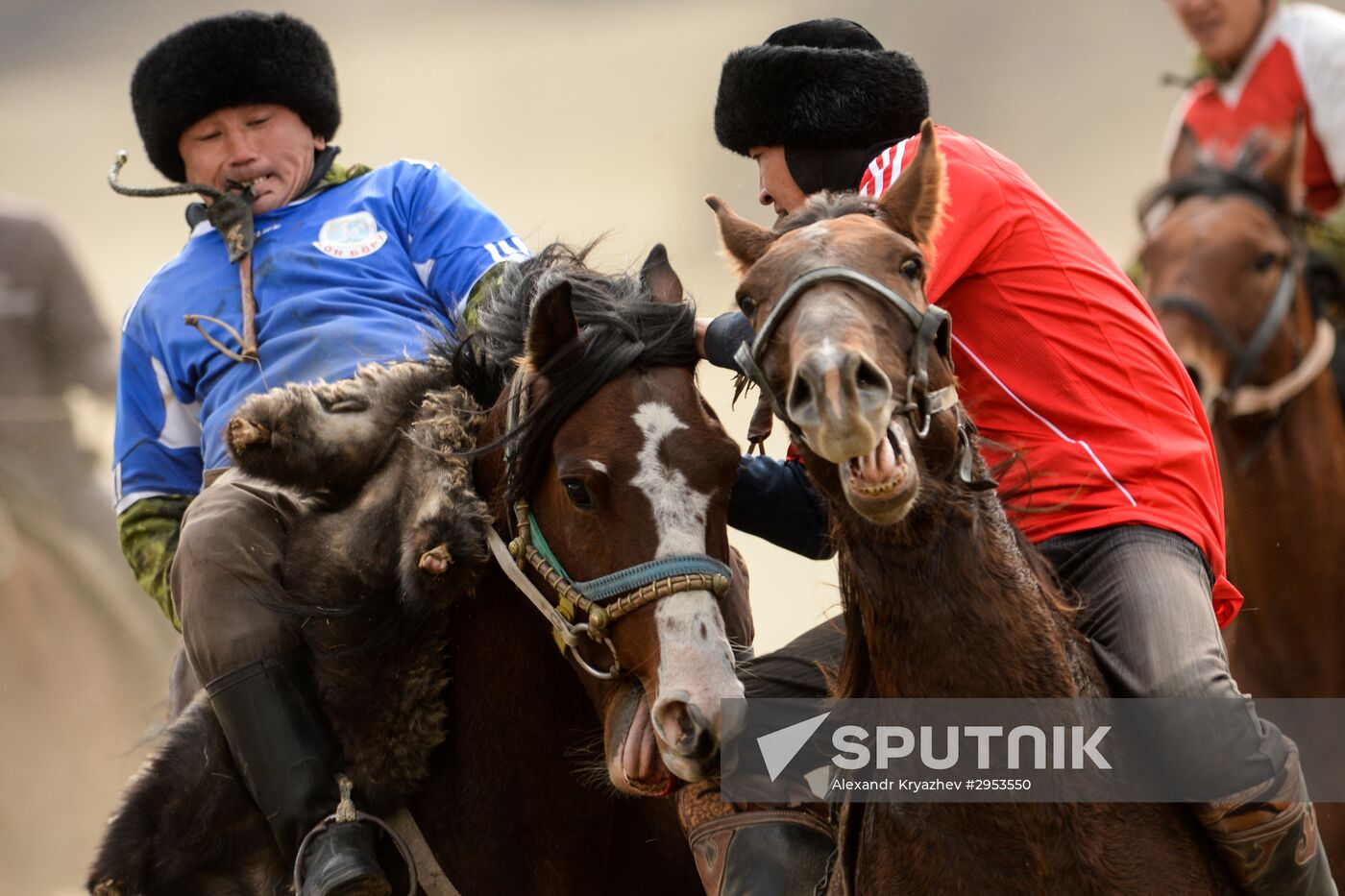Kok-boru championship in Republic of Altai