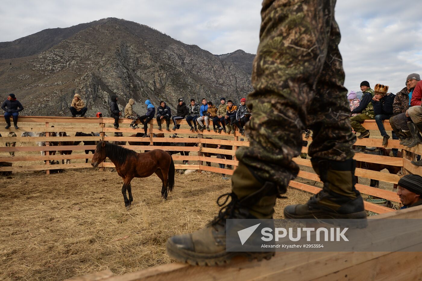 Kok-boru championship in Republic of Altai