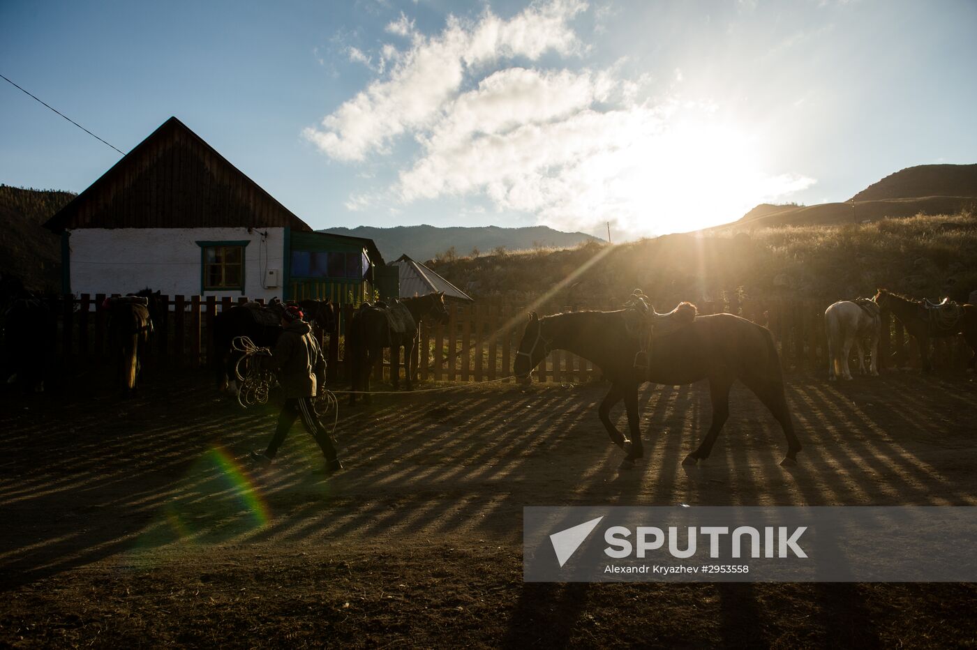 Kok-boru championship in Republic of Altai