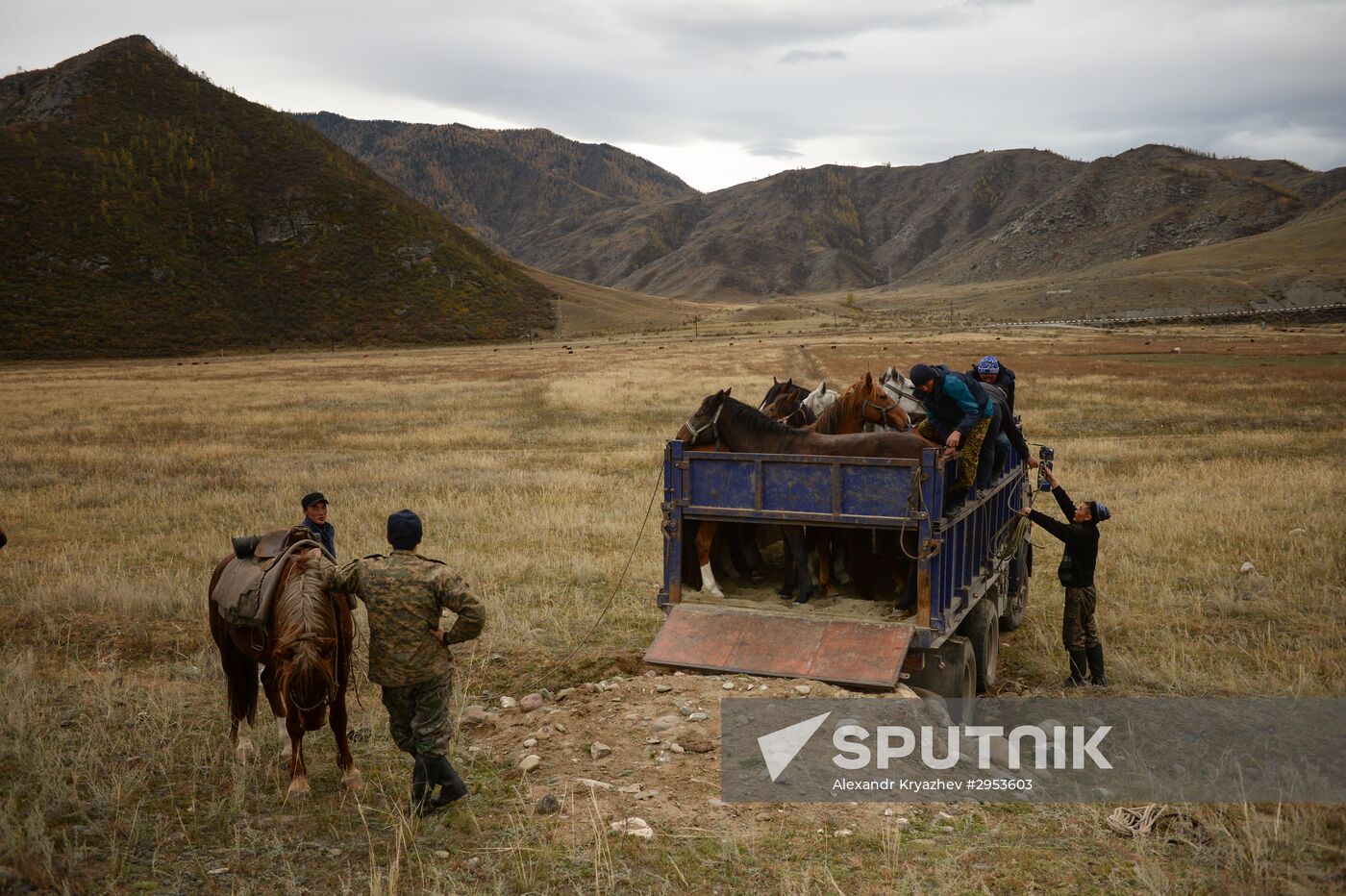 Kok-boru championship in Altai Republic