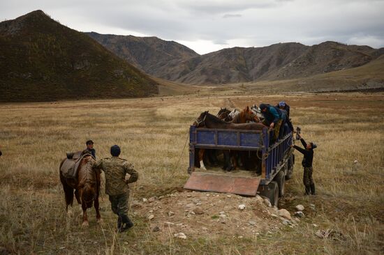Kok-boru championship in Altai Republic