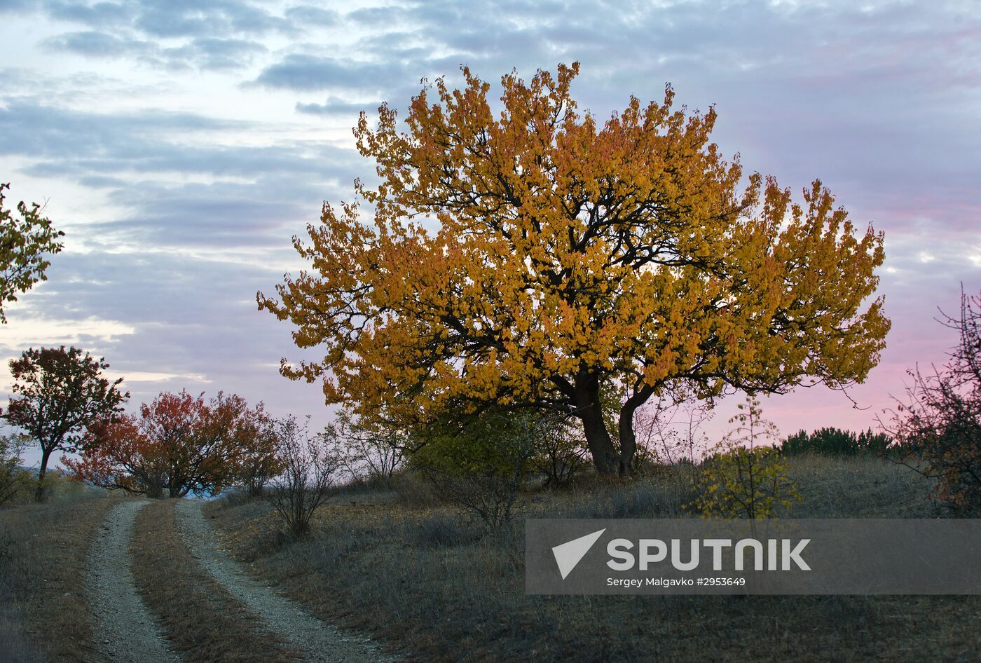 Fall in Crimea