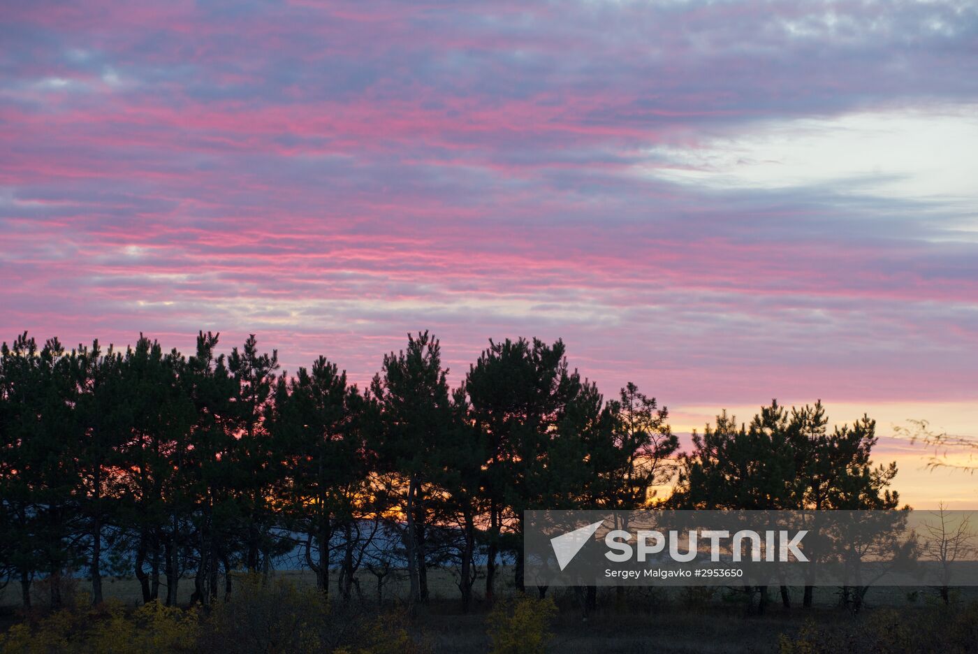 Fall in Crimea