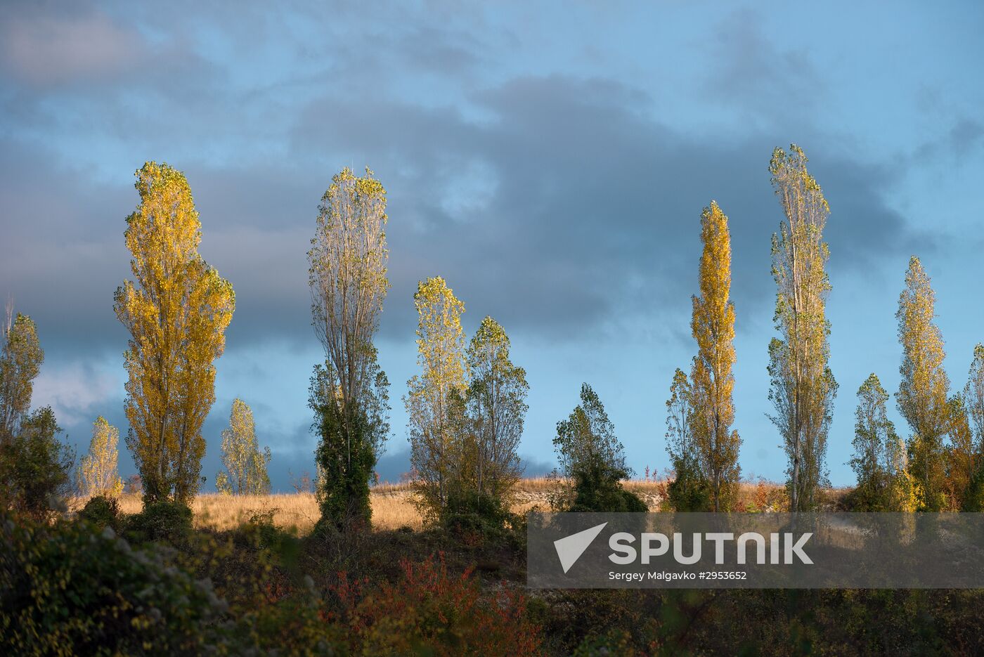 Fall in Crimea