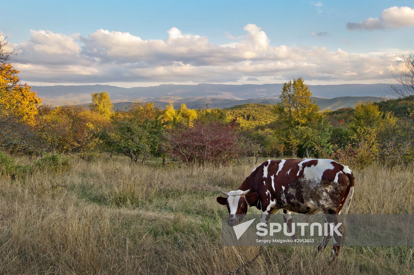 Fall in Crimea
