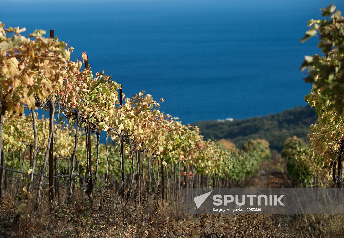 Fall in Crimea