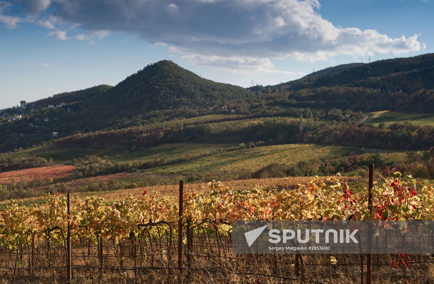Fall in Crimea