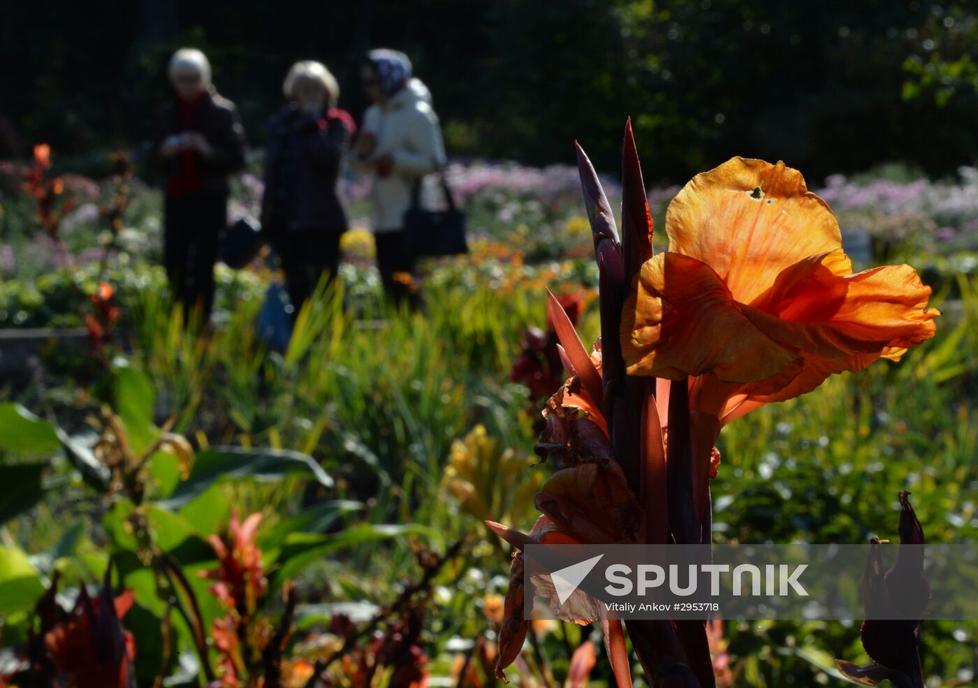 Family pastime in Botanical Gardens, Vladivostok