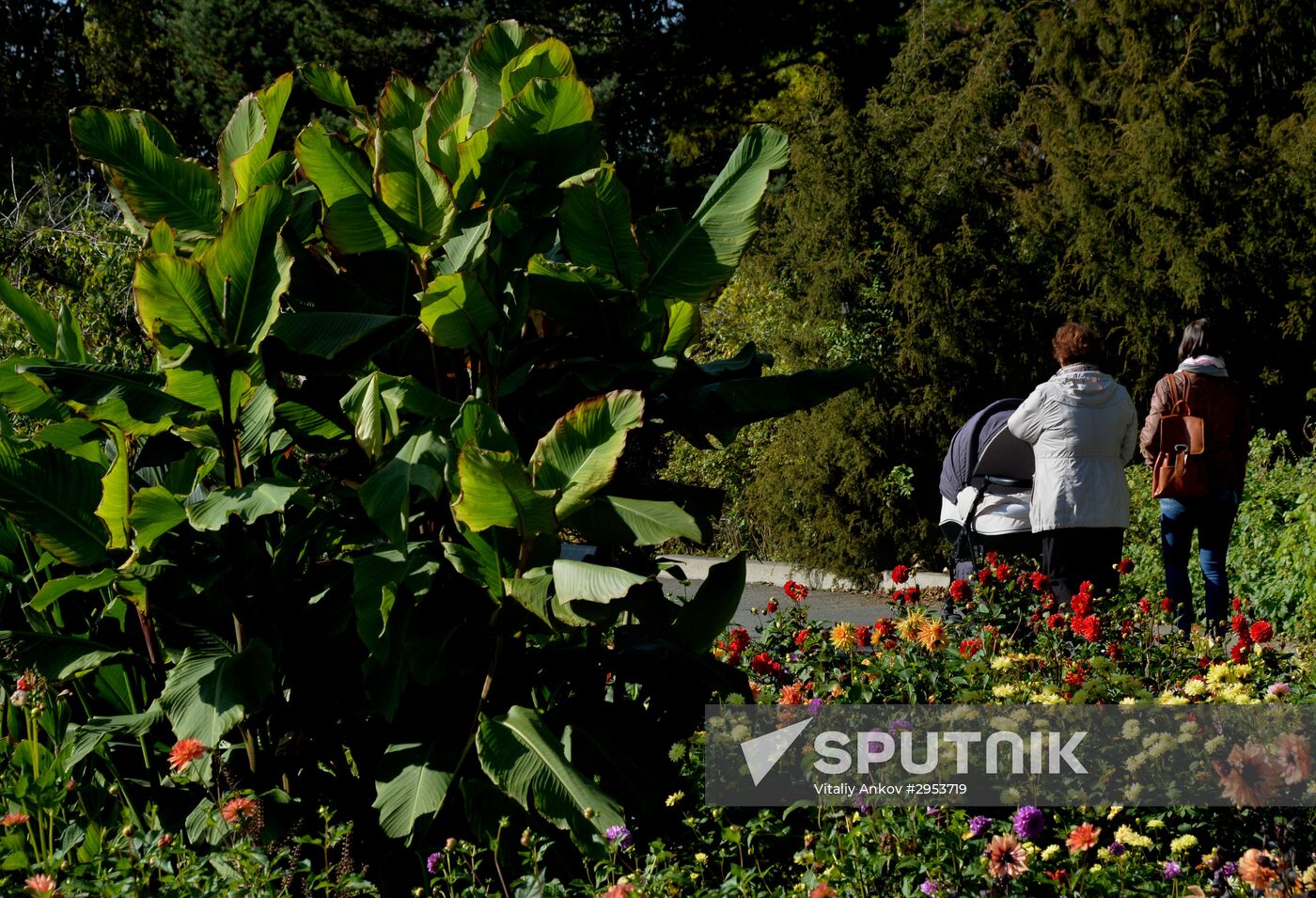 Family pastime in Botanical Gardens, Vladivostok