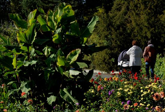 Family pastime in Botanical Gardens, Vladivostok