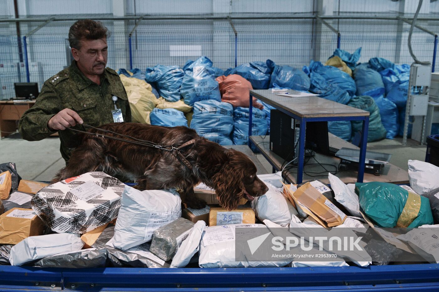 Postal customs control facility opens in Novosibirsk