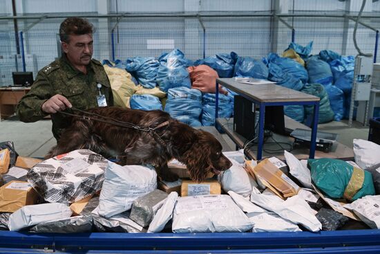 Postal customs control facility opens in Novosibirsk