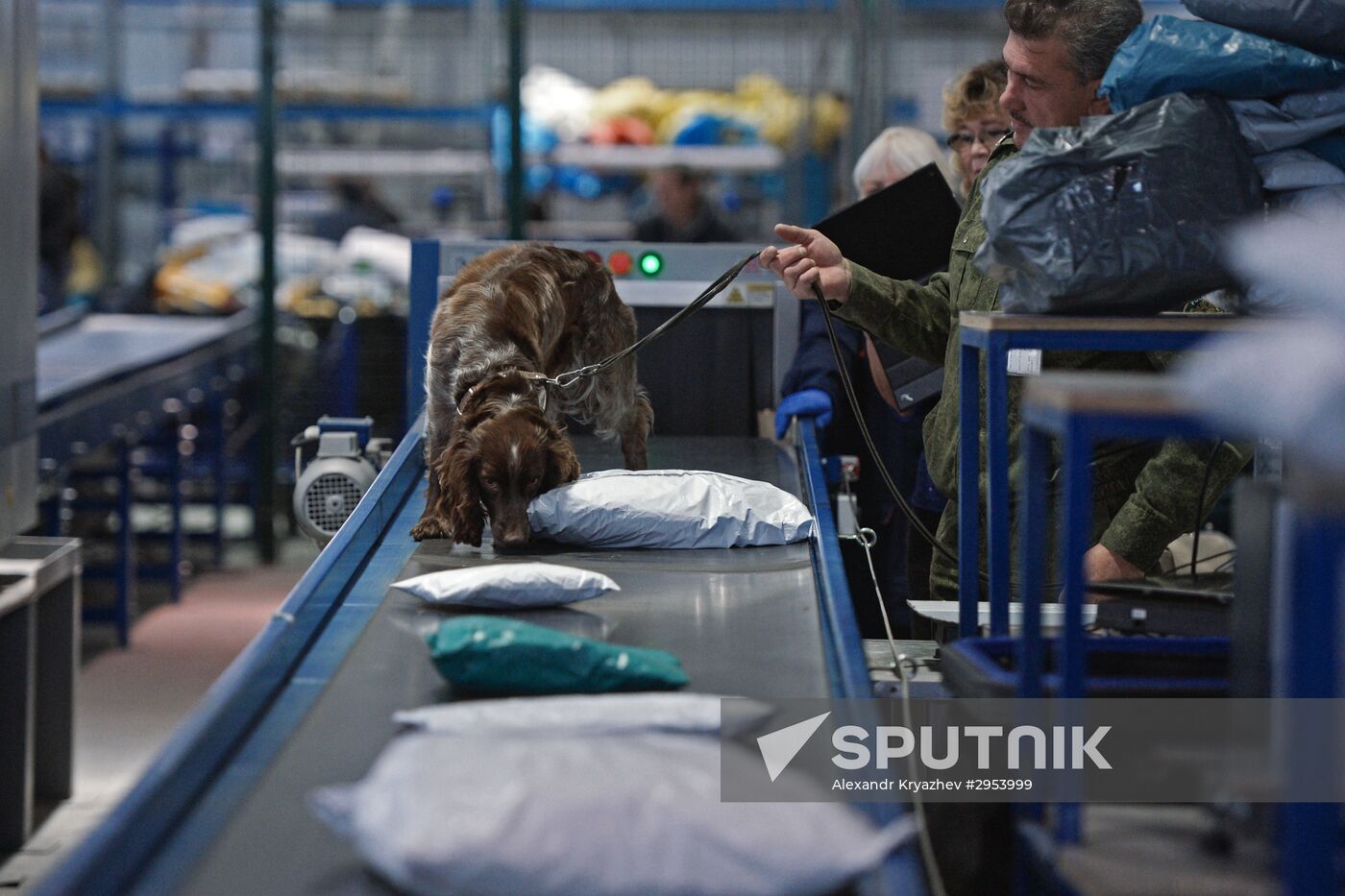 Postal customs control facility opens in Novosibirsk