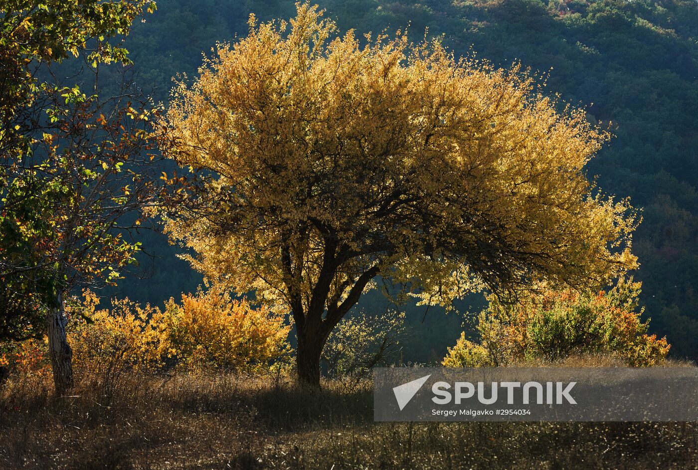 Fall in Crimea