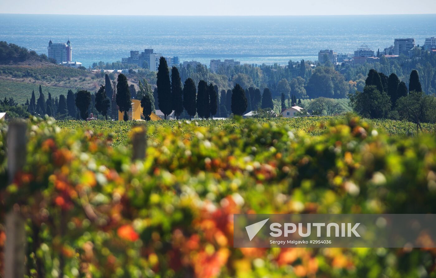 Fall in Crimea