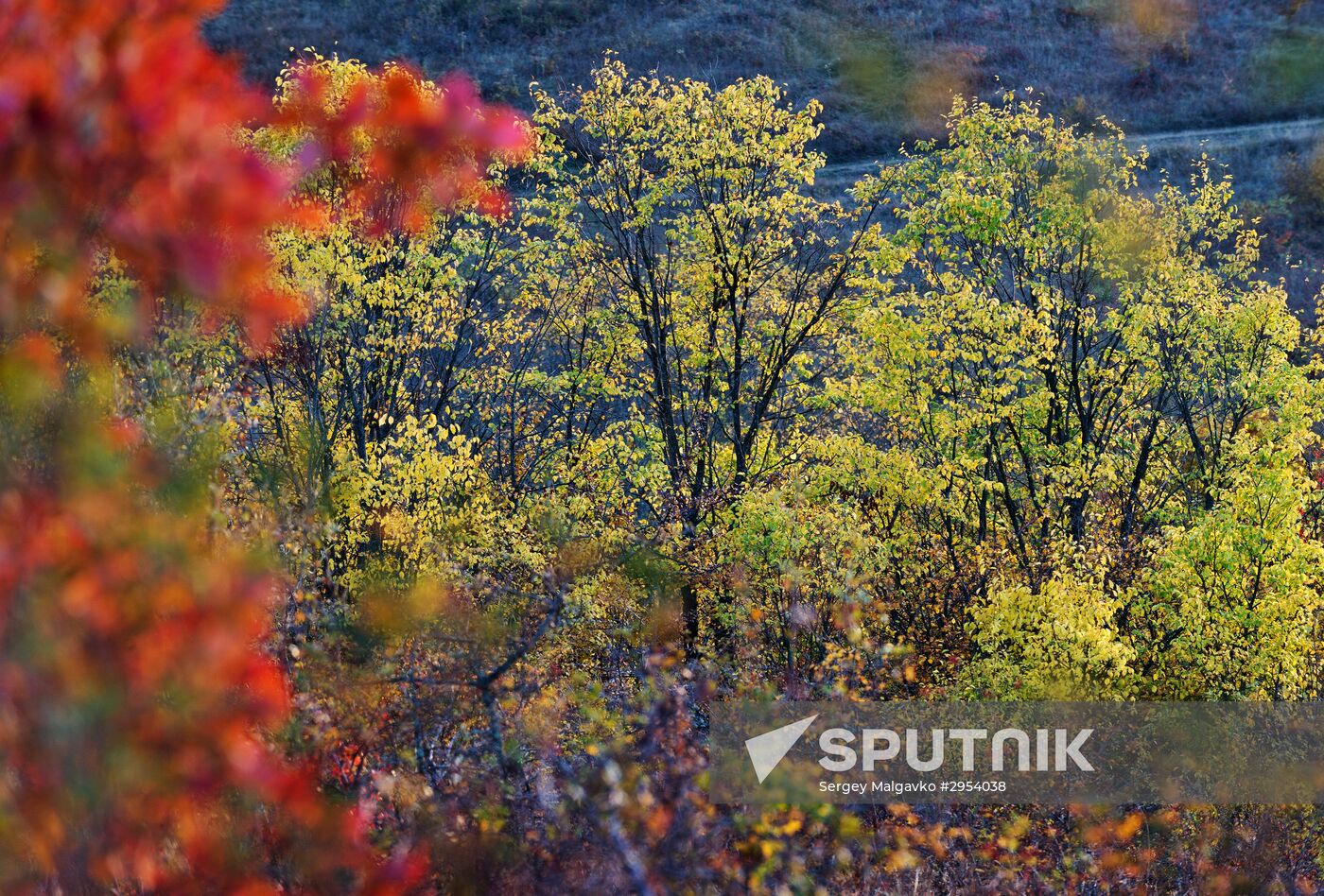 Fall in Crimea