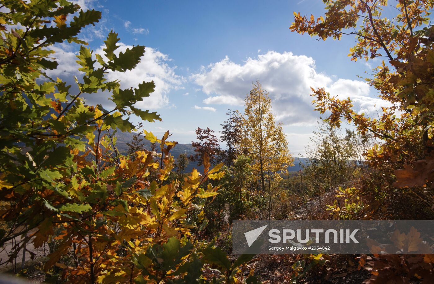 Fall in Crimea
