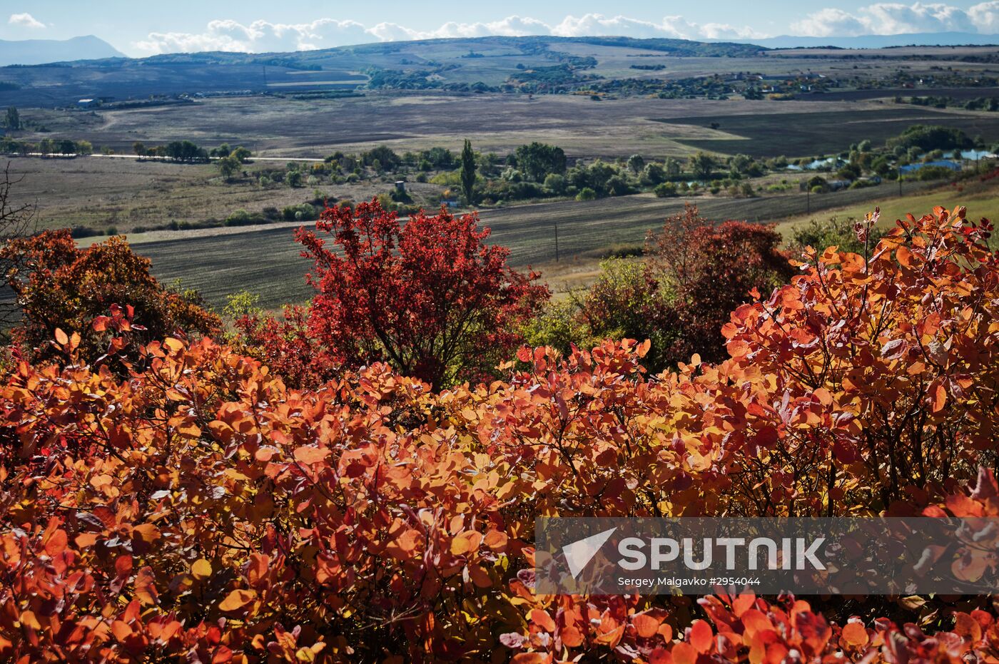 Fall in Crimea