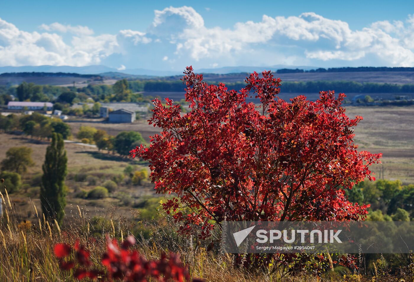 Fall in Crimea