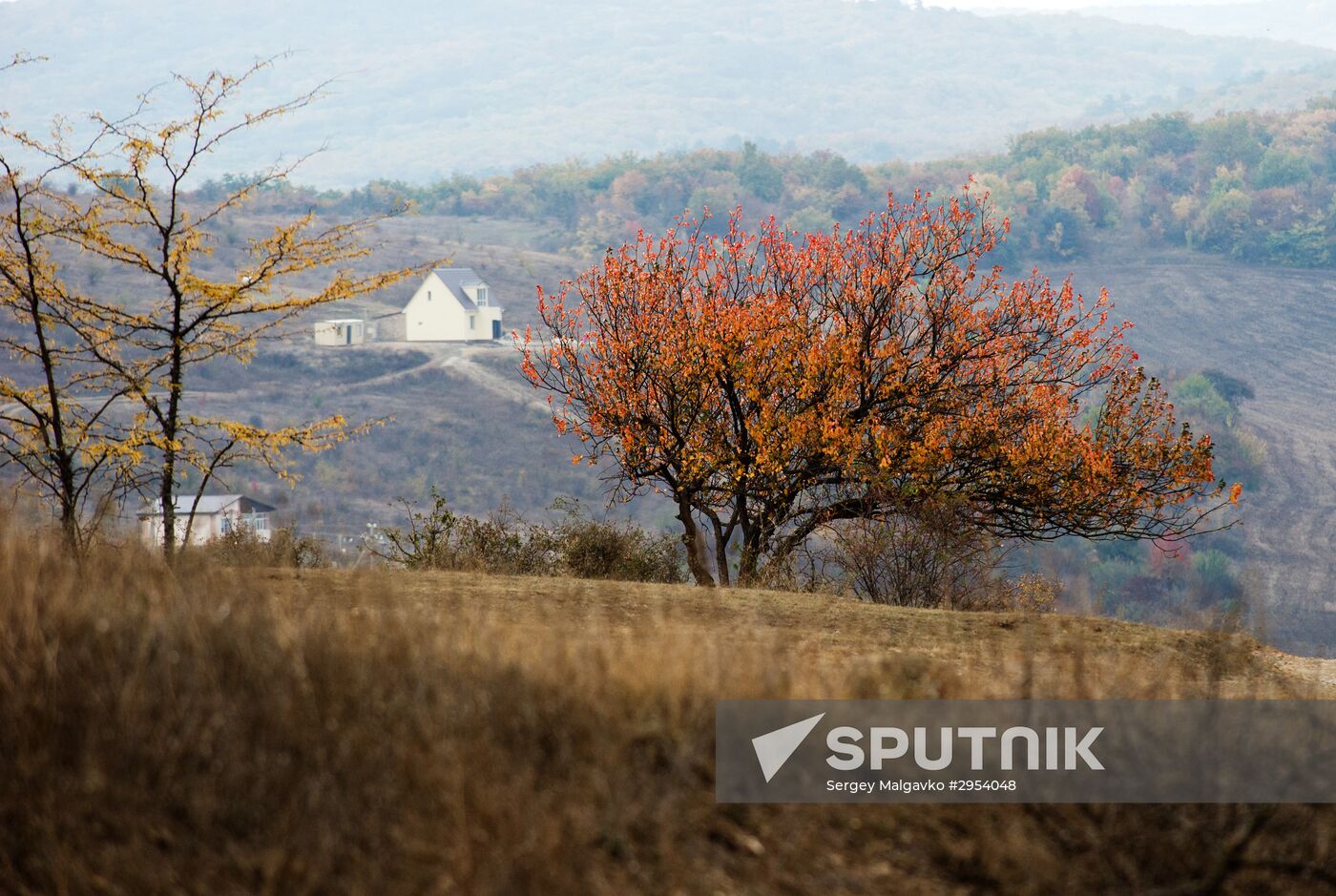 Fall in Crimea